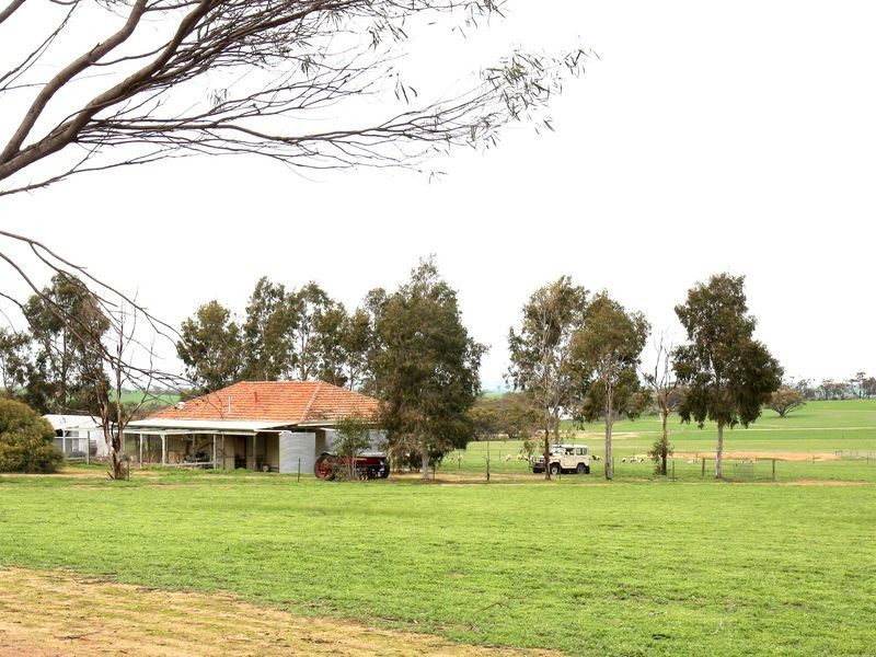 203 Hughes Road Wongamine, Toodyay WA 6566