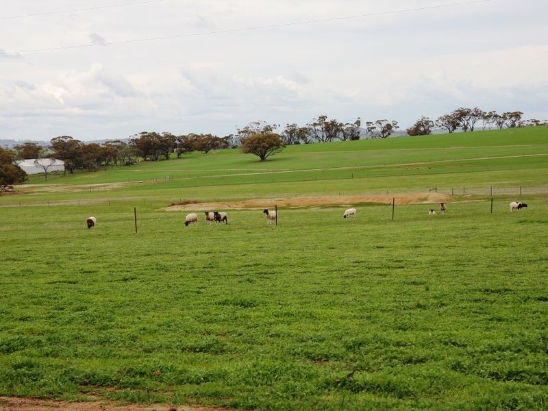 203 Hughes Road Wongamine, Toodyay WA 6566