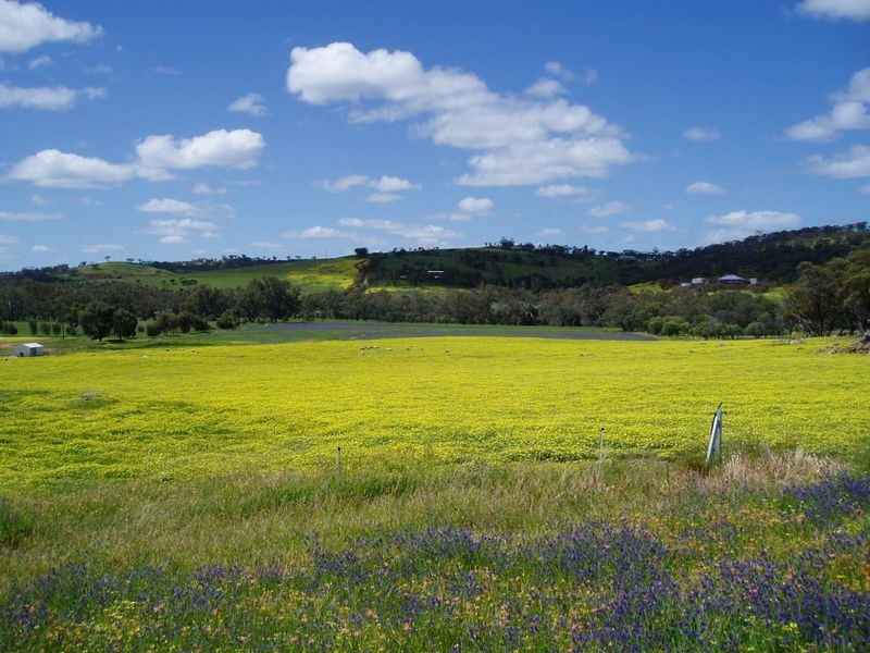 Toodyay WA 6566