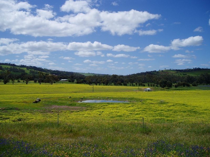 Toodyay WA 6566