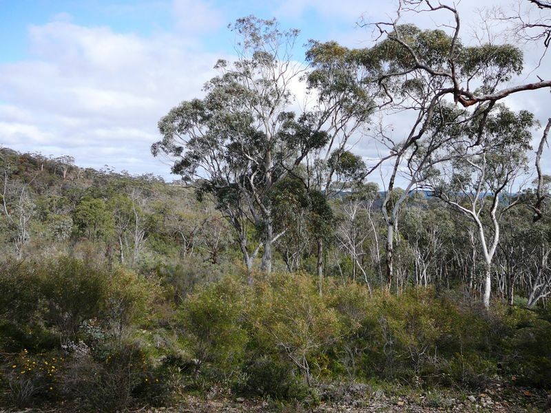 15 Sesselis Road, Toodyay WA 6566