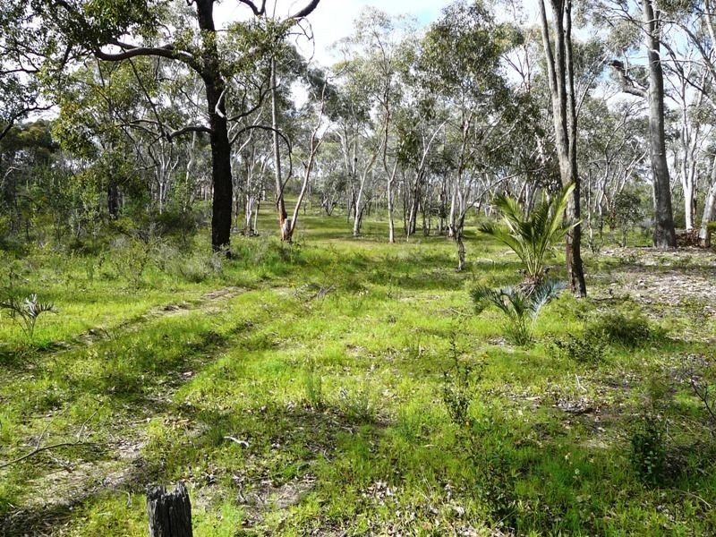 15 Sesselis Road, Toodyay WA 6566