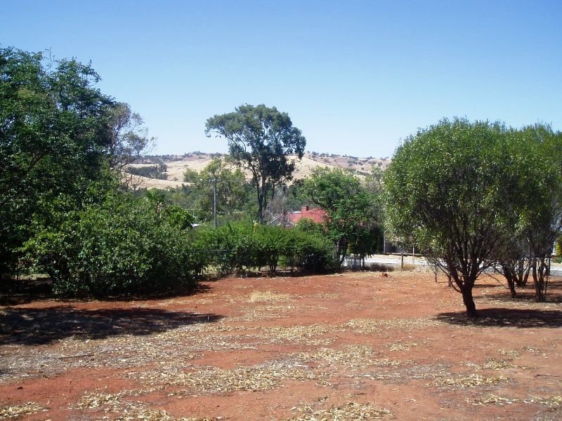 16 Duke Street, Toodyay WA 6566