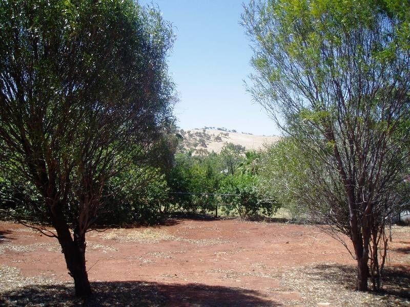 16 Duke Street, Toodyay WA 6566