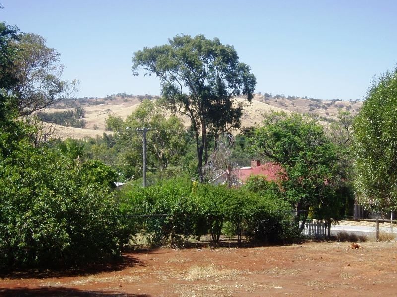 16 Duke Street, Toodyay WA 6566
