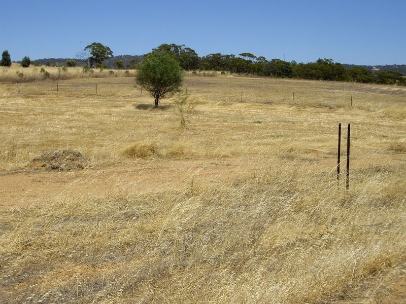 109 MacDonald Retreat, Toodyay WA 6566