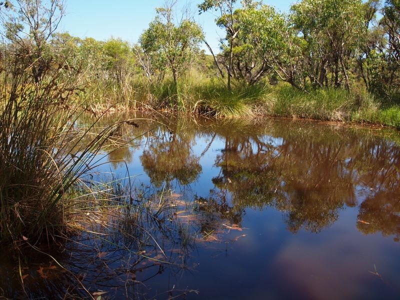 801 Cockatoo Drive, Bindoon WA 6502