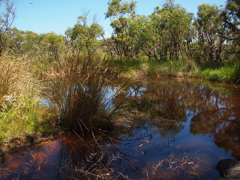 801 Cockatoo Drive, Chittering WA 6084