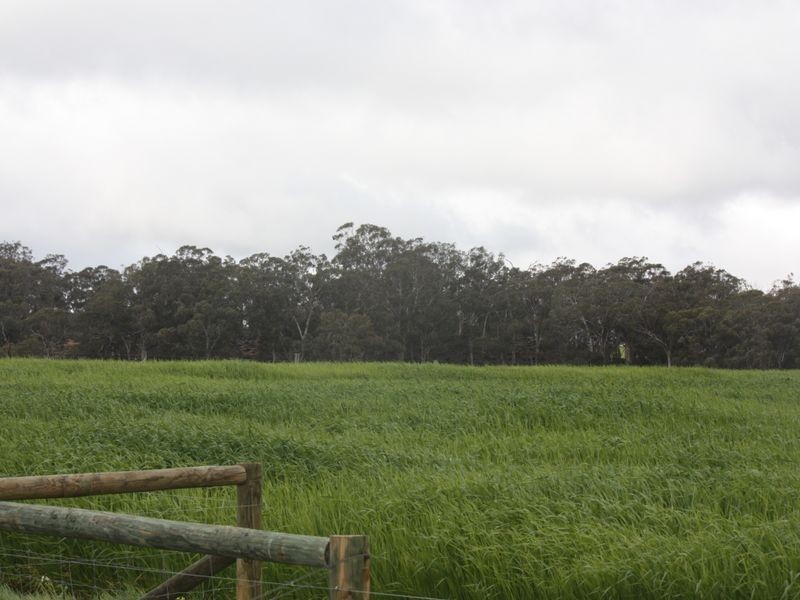 5120 Toodyay Rd, Toodyay WA 6566