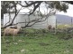 5120 Toodyay Rd, Toodyay WA 6566