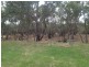 Toodyay WA 6566