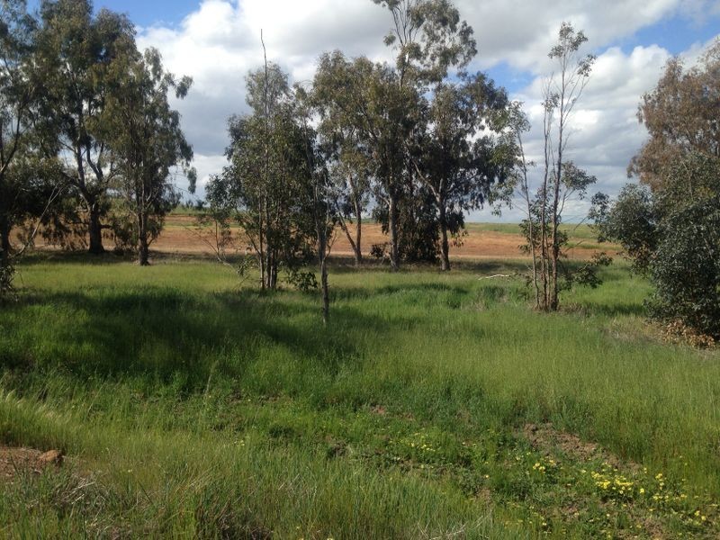 1484 Goomalling-Toodyay Road, Toodyay WA 6566