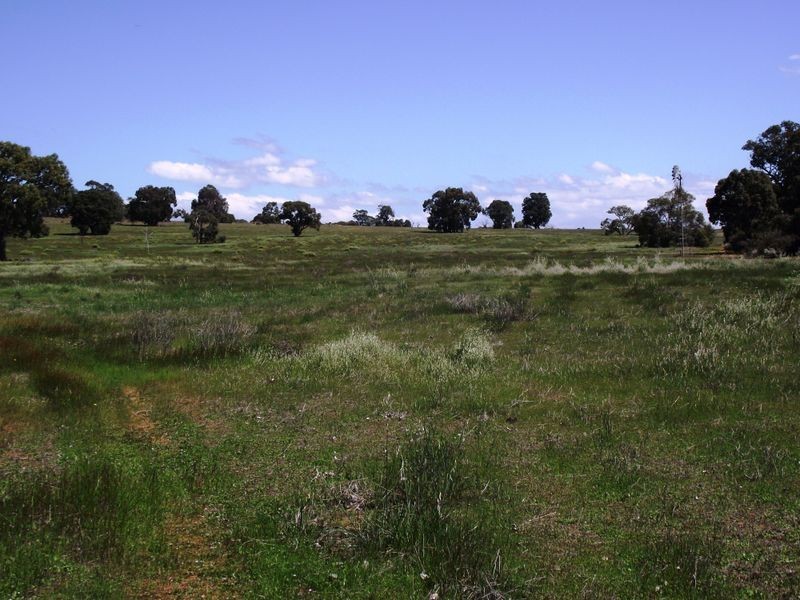 Morangup WA 6083