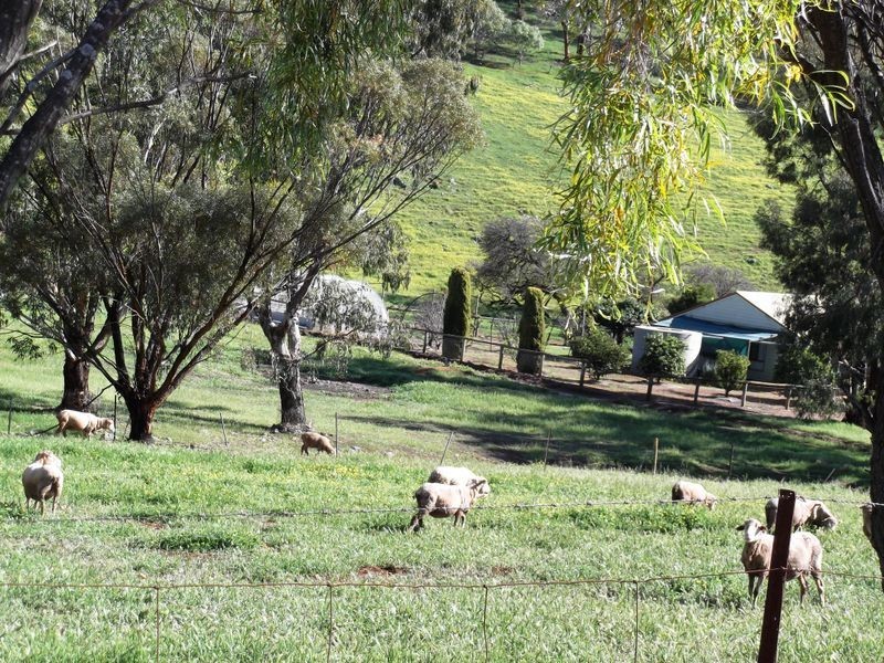 Toodyay WA 6566