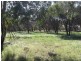 Toodyay WA 6566
