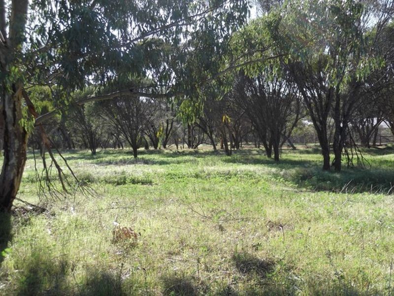 Toodyay WA 6566