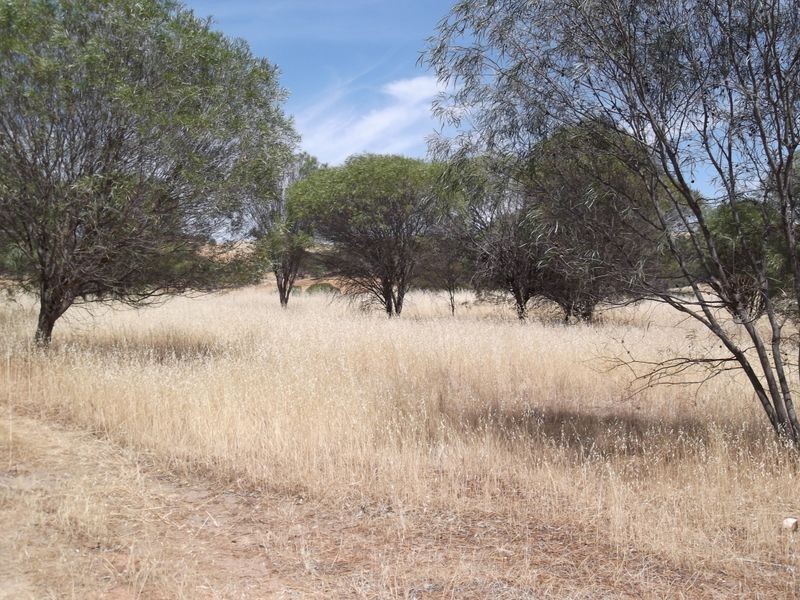 Toodyay WA 6566