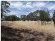 Toodyay WA 6566