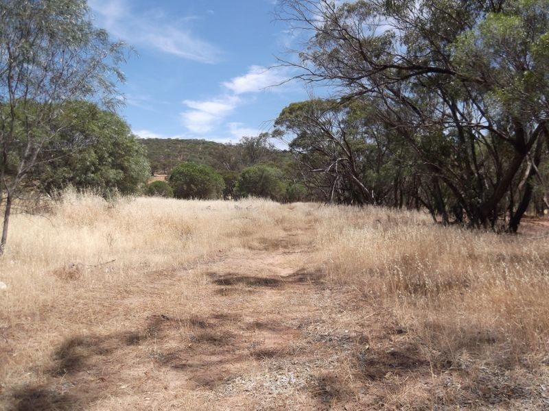 Toodyay WA 6566
