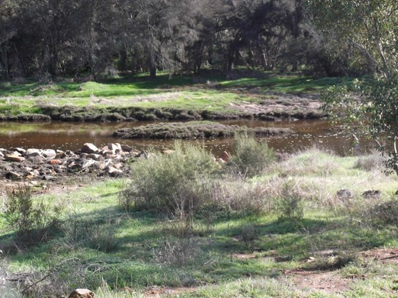 Toodyay WA 6566