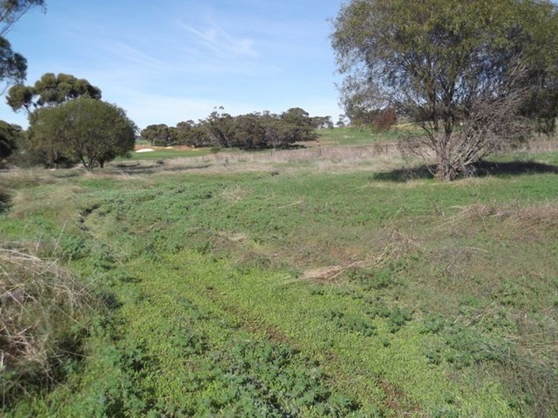 Toodyay WA 6566