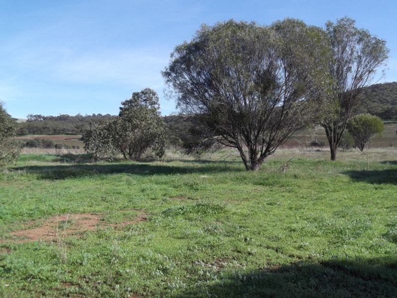Toodyay WA 6566