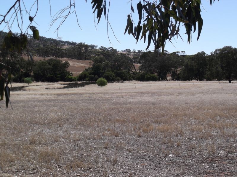 220 (Lot 3 Bindoon-Dewars Pool Road, Toodyay WA 6566