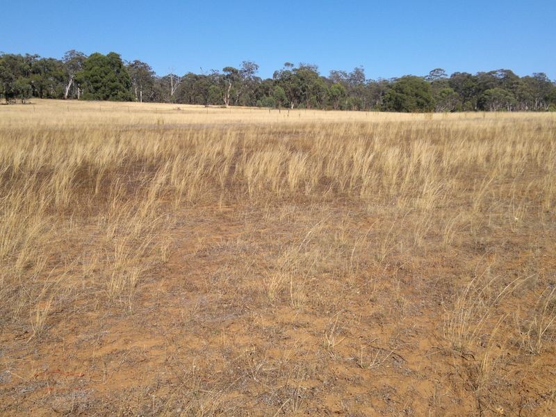 Toodyay WA 6566