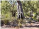 32 Pipe Lily Way, Chittering WA 6084