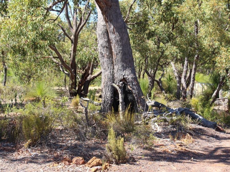 32 Pipe Lily Way, Chittering WA 6084