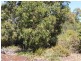 32 Pipe Lily Way, Chittering WA 6084