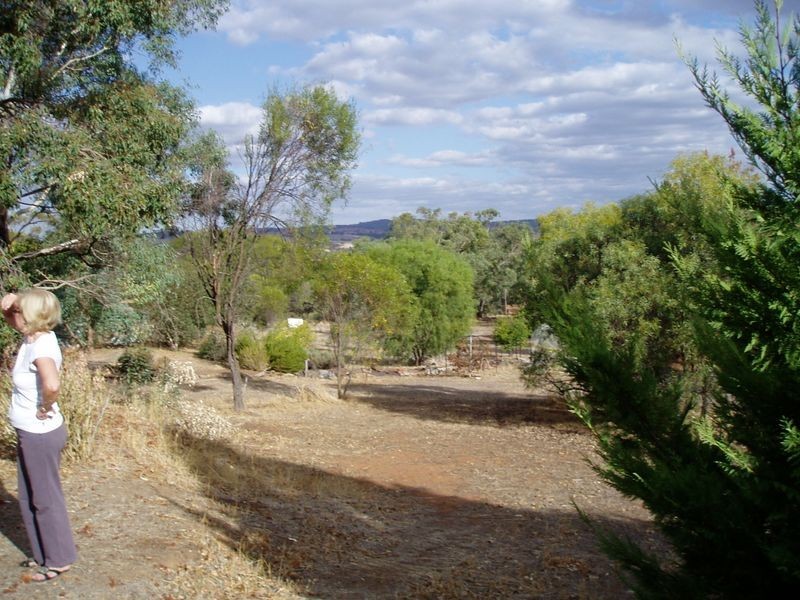 40 (LP16) Francis Street, Toodyay WA 6566