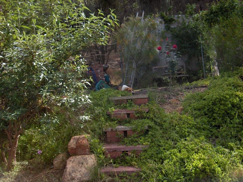 40 (LP16) Francis Street, Toodyay WA 6566