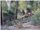 73 (LOT 51 TIMBERDEN DRIVE, Toodyay WA 6566