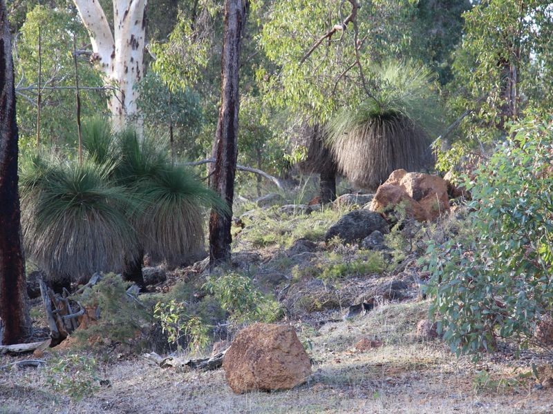 73 (LOT 51 TIMBERDEN DRIVE, Toodyay WA 6566
