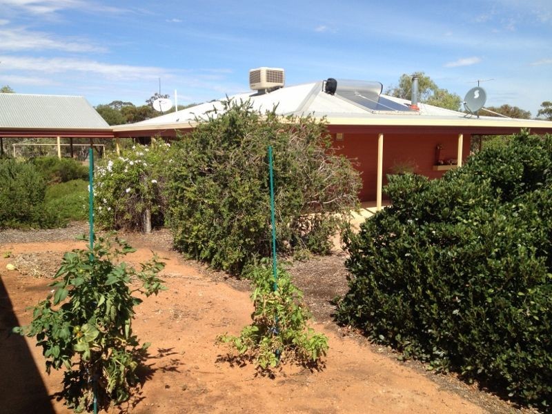 Jennacubbine WA 6401