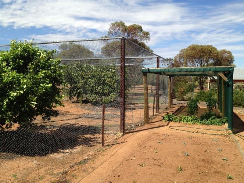 Jennacubbine WA 6401