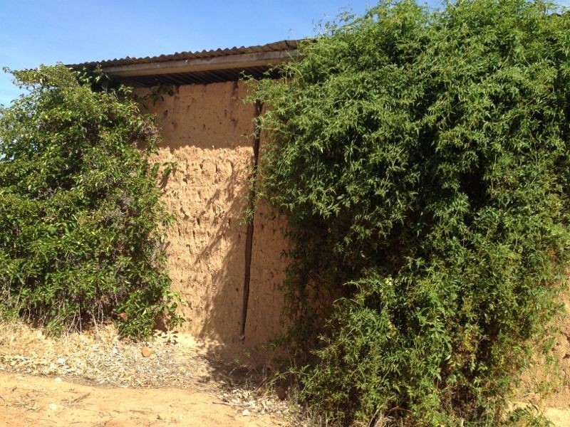 Jennacubbine WA 6401