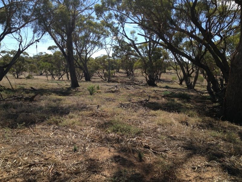 Jennacubbine WA 6401