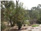 Toodyay WA 6566