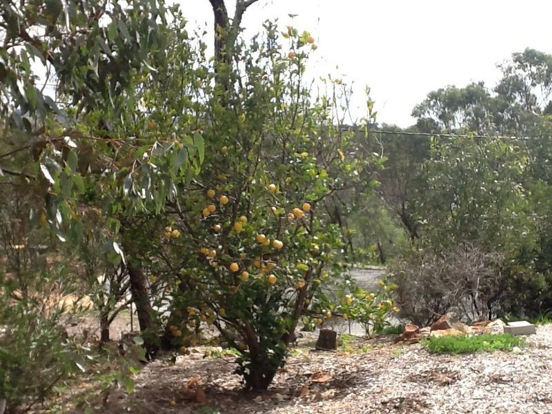 Toodyay WA 6566