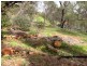 Toodyay WA 6566