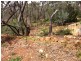 Toodyay WA 6566