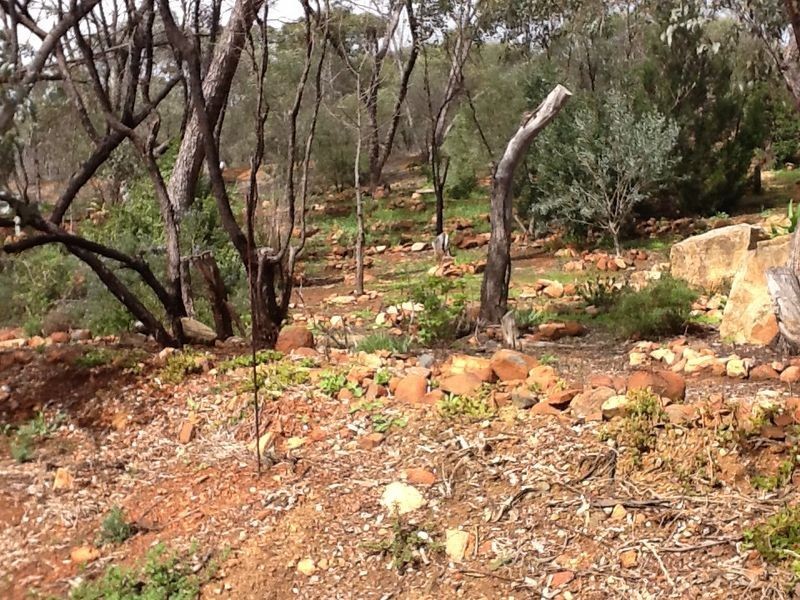 Toodyay WA 6566