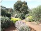 Toodyay WA 6566