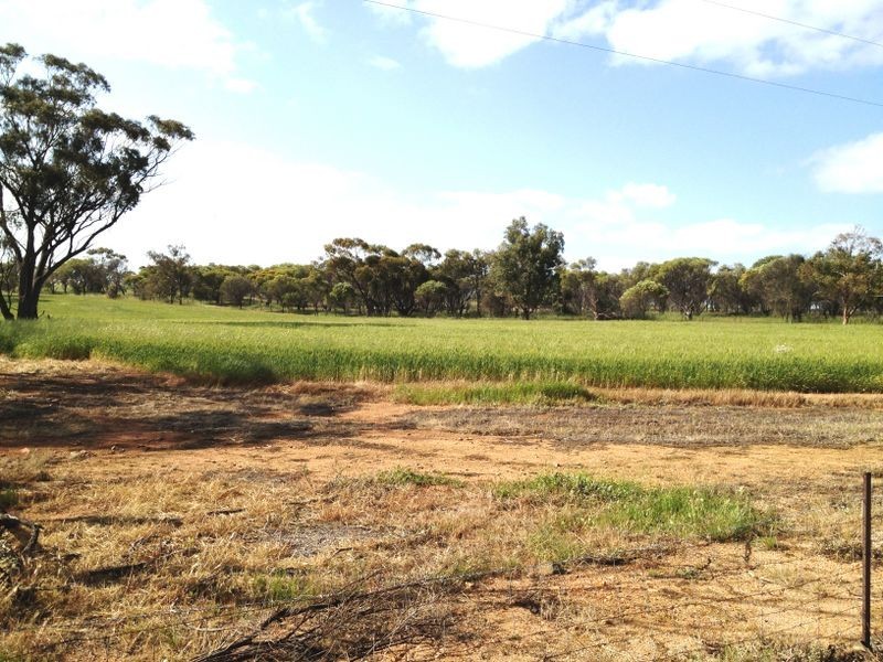 132 Lawler Rd, Goomalling WA 6460