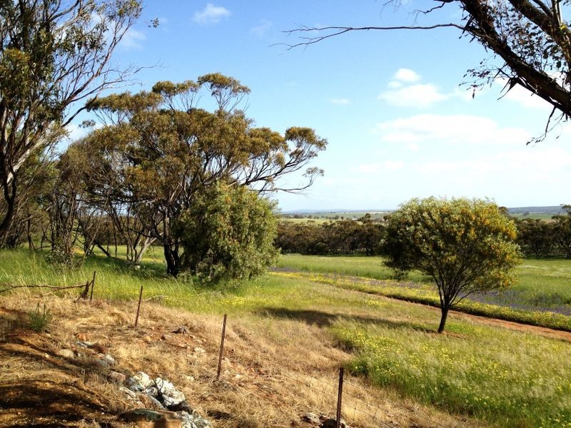 132 Lawler Rd, Goomalling WA 6460