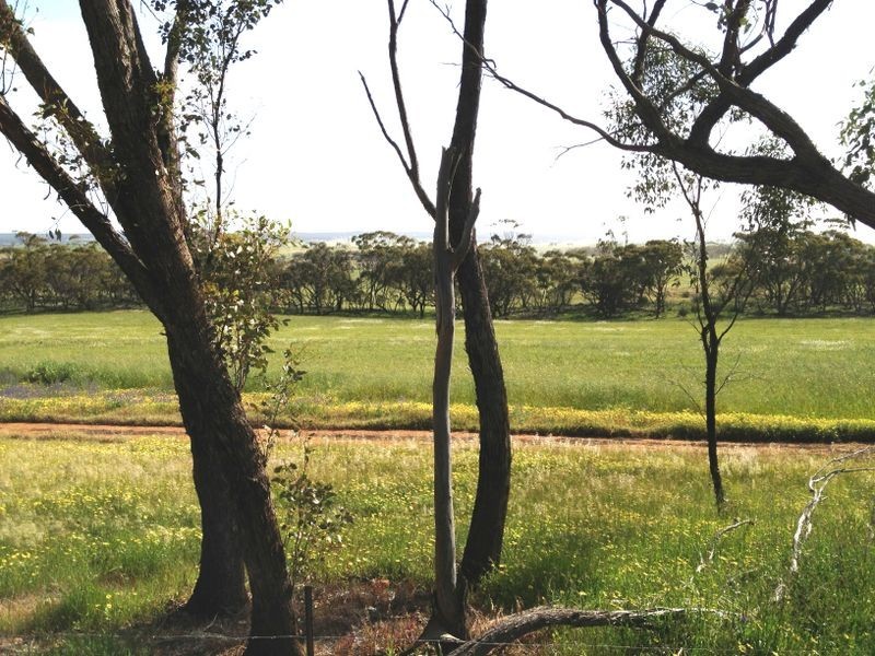 132 Lawler Rd, Goomalling WA 6460