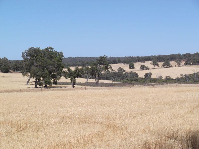 Lot 8975 Julimar Road, Toodyay WA 6566