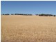 Lot 8975 Julimar Road, Toodyay WA 6566